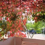 Apartment Family Friendly With A Swimming Pool Mlini, Dubrovnik - 8579 Mlini