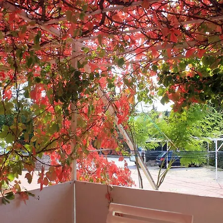 公寓 Family Friendly With A Swimming Pool Mlini, Dubrovnik - 8579 米利尼