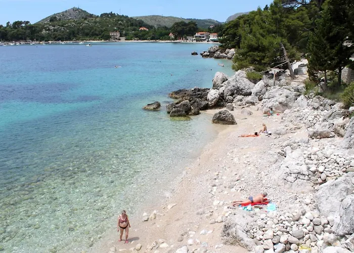 Family Friendly With A Swimming Pool Mlini, Dubrovnik - 8579 公寓