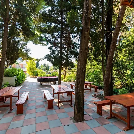 Daire Family Friendly With A Swimming Pool Mlini, Dubrovnik - 8579
