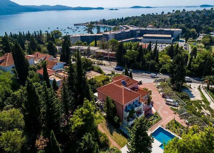 Family Friendly With A Swimming Pool Mlini, Dubrovnik - 8579 Daire *