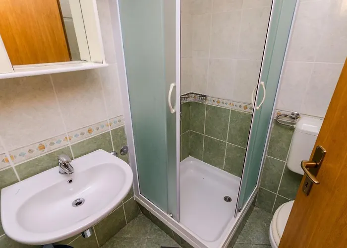 Daire Family Friendly With A Swimming Pool Mlini, Dubrovnik - 8579