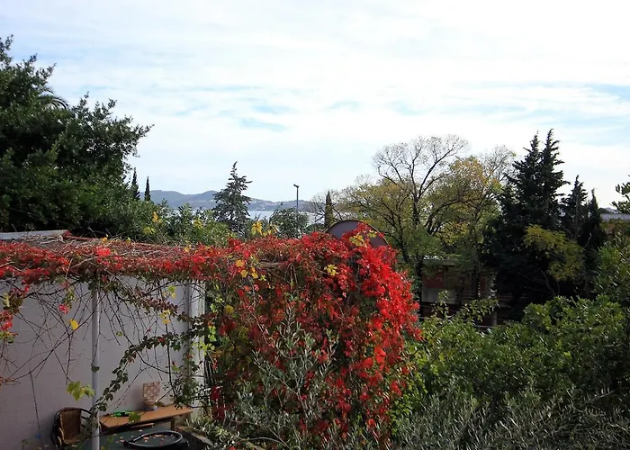 Daire Family Friendly With A Swimming Pool Mlini, Dubrovnik - 8579 Mlini