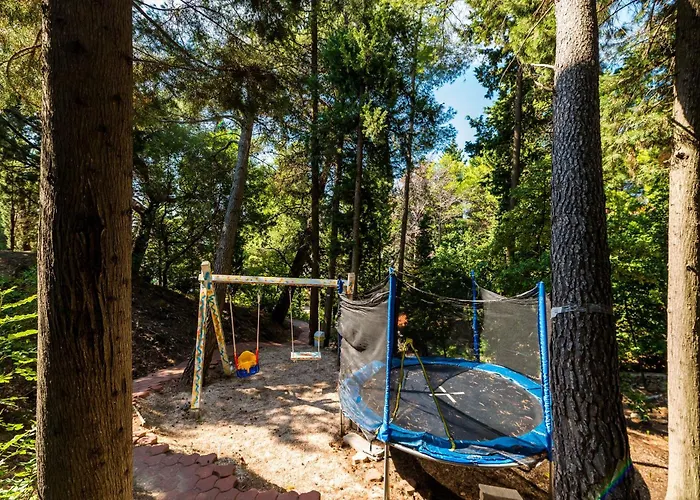 Daire Family Friendly With A Swimming Pool Mlini, Dubrovnik - 8579 Mlini